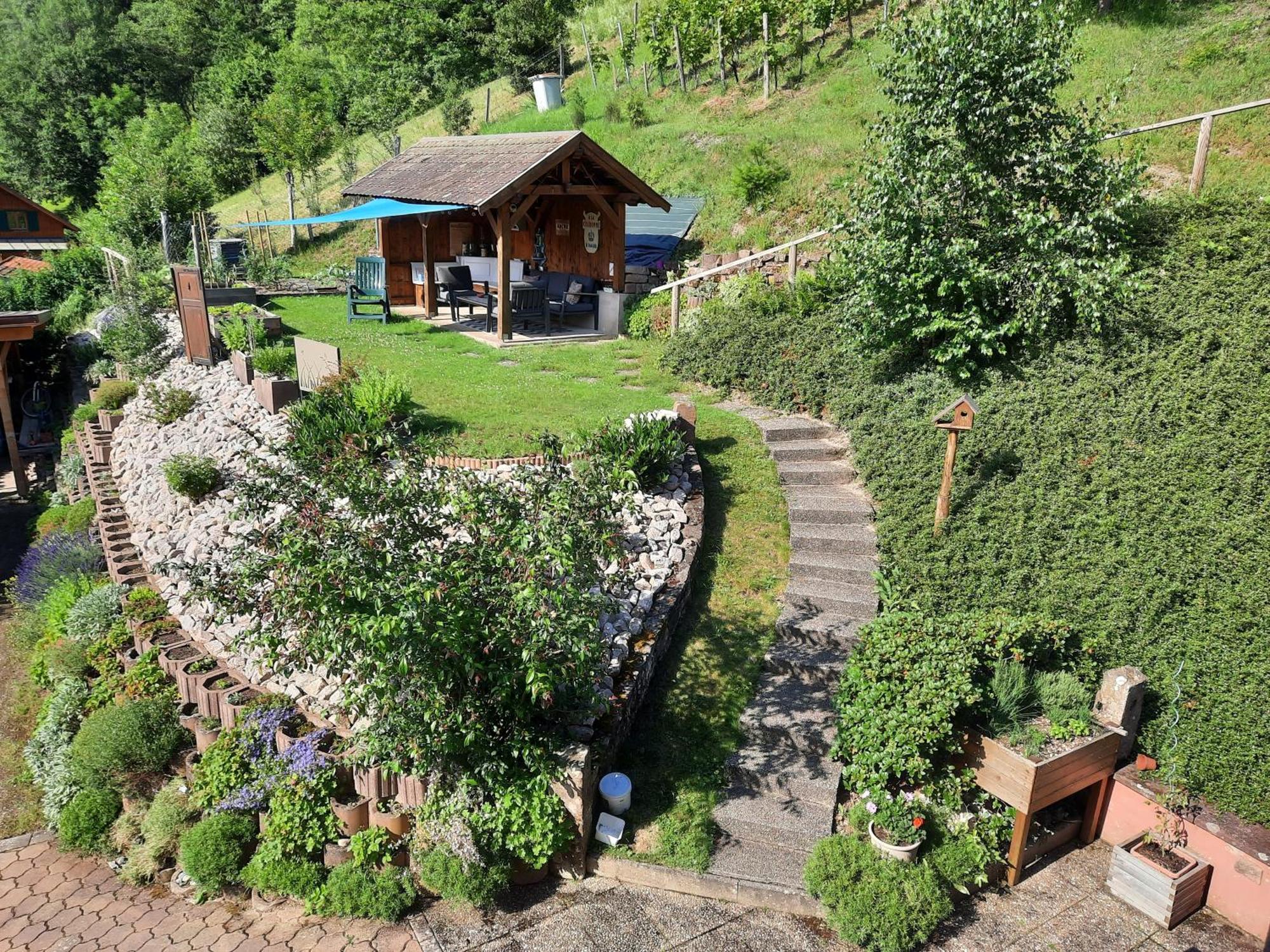 Chambres D'Hotes "Au Val Sejour" Alsace Saint-Martin  ภายนอก รูปภาพ
