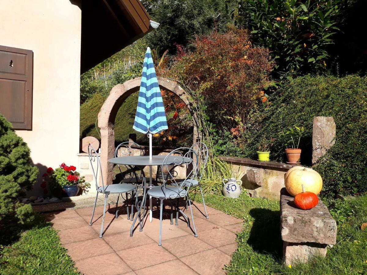 Chambres D'Hotes "Au Val Sejour" Alsace Saint-Martin  ภายนอก รูปภาพ