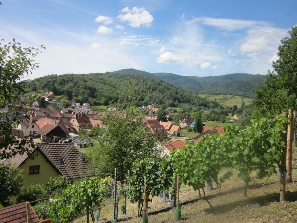 Chambres D'Hotes "Au Val Sejour" Alsace Saint-Martin  ภายนอก รูปภาพ